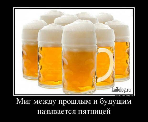 Демотиваторы про пиво (60 штук)