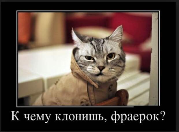 Демотиваторы 15/01 Демотиваторы 15/01