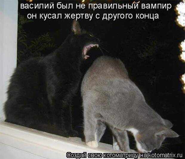 Мысли вслух :)