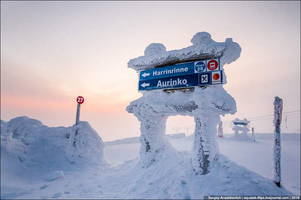 Sunrise in Lapland Sunrise in Lapland