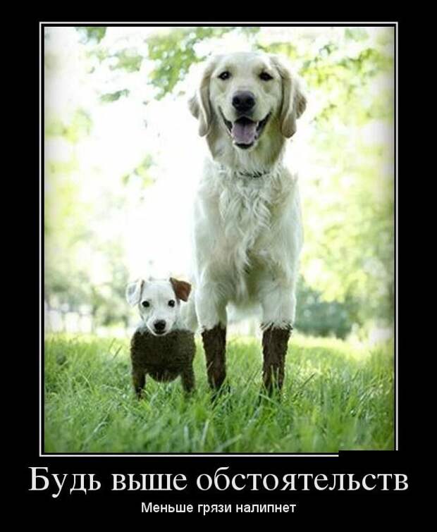 Демотиваторы Демотиваторы