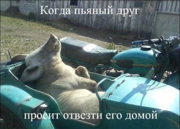 АВТОприкольные картинки (29 шт)