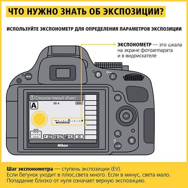 Абсолютно всё, что нужно знать новичкам и любителям о фотографии инфографика, фото, фотограф