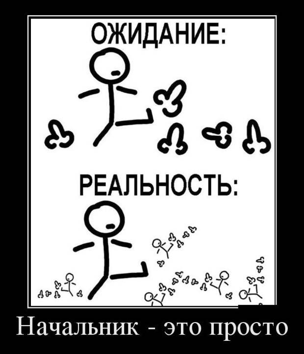 Демотиваторы №1108 (30 фото)