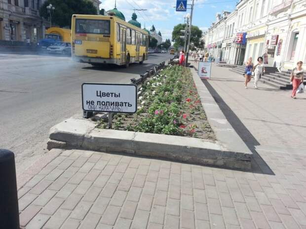 Маразмы в надписях