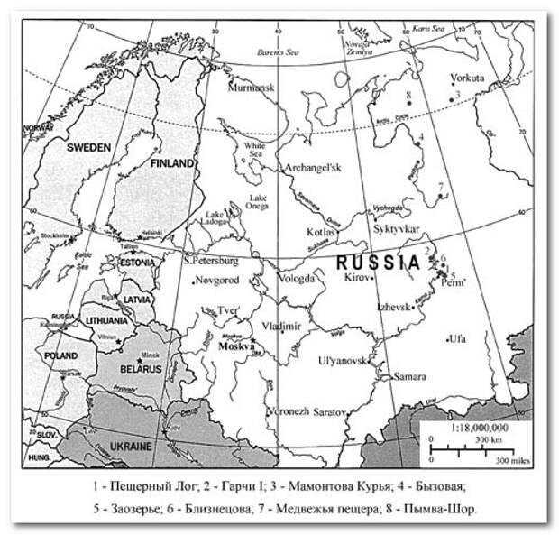 Бызовская стоянка на печоре презентация