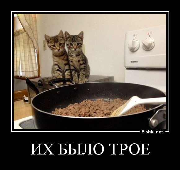 Демотиваторы демотиваторы