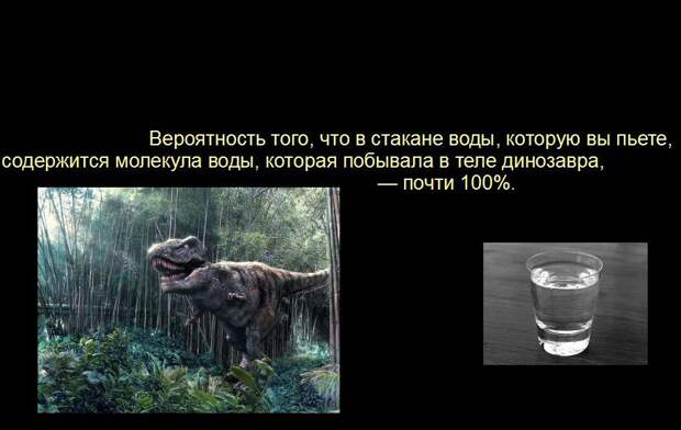 Мир удивителен, господа! Мир удивителен, господа! интересное, мир, невероятное