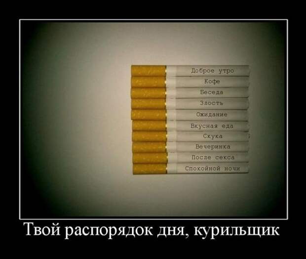 Демотиваторы демотиваторы, юмор