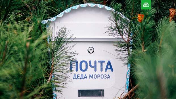 Почта Деда Мороза заработает в Москве с 18 ноября