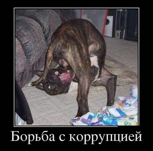 Демотиваторы (30 фото)