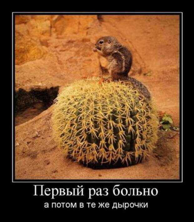 Прикольные демотиваторы только для Вас!