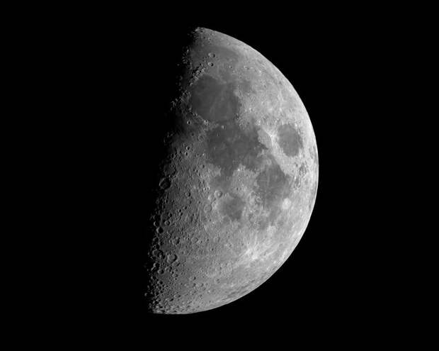 Юсаку Маэдзава отменил полет вокруг Луны на космическом корабле SpaceX Starship