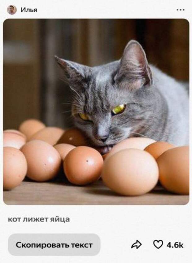 Нейросеть «Шедеврум» от Яндекса. Нейросети всячески обходят любую пошлость. Нейросеть «Шедеврум» от Яндекса. Нейросети всячески обходят любую пошлость. Фото.