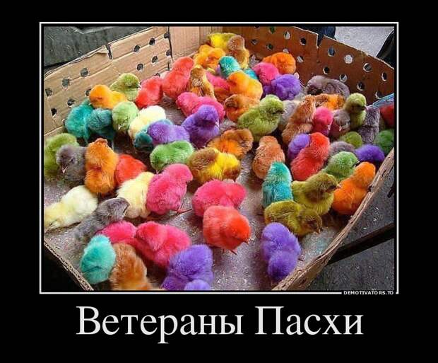 Подборка  демотиваторов демотиваторы, юмор