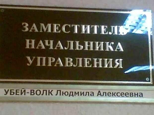20 случаев, когда фамилия и профессия созданы друг для друга профессия, фамилия, юмор