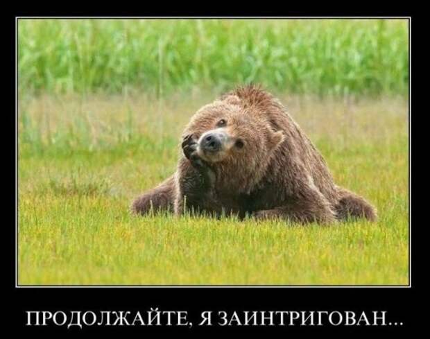 У Яценюка официально признали: С введением санкций против России лоханулись У Яценюка официально признали: С введением санкций против России лоханулись