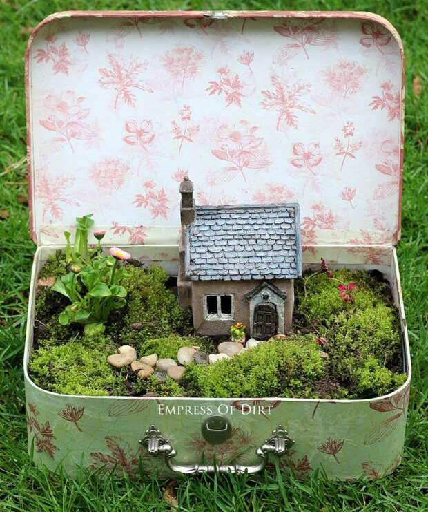 5. Мини-сад в чемодане идея, мини-сад