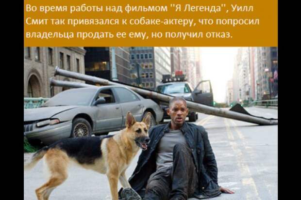 Интересные факты из жизни, которые возможно вас удивят! интересно, факты