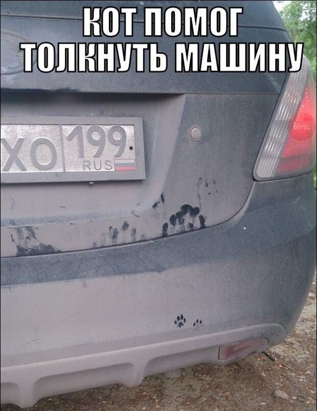 Подборка автоприколов. Часть 227 авто, автоприколы, приколы
