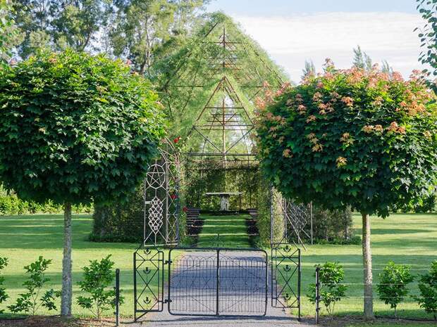 tree-church-nature-installation-barry-cox-new-zealand-1