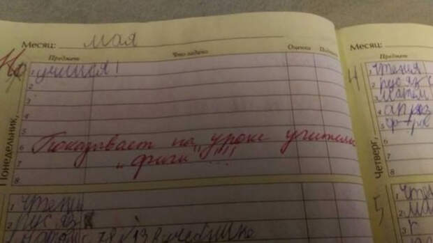 смешная запись в дневнике школьника
