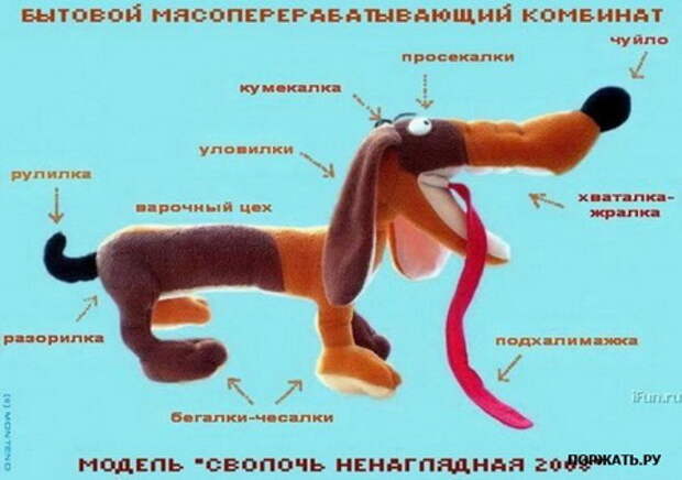 Новый день у нас для вас прикольные картинки есть.