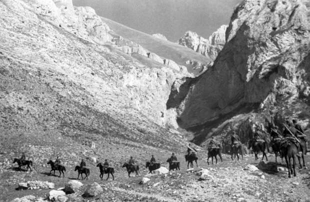 Готенкопф – «Голубая линия» Готенкопф – «Голубая линия»