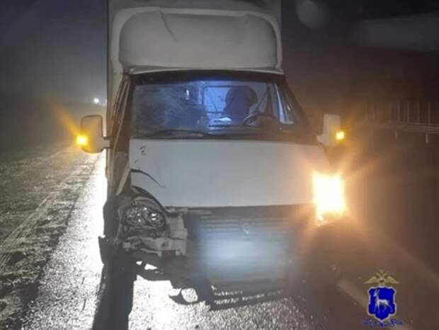65-летний пешеход погиб под колесами «Газели» на темной дороге в Самарской области