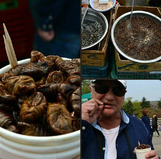 Уличные деликатесы из Южной Кореи. | Фото: Pressa.tv.