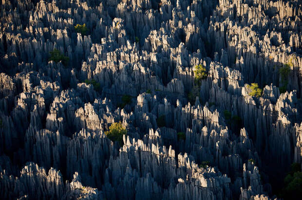 15. Каменный лес, Мадагаскар красота, пейзажи, природа