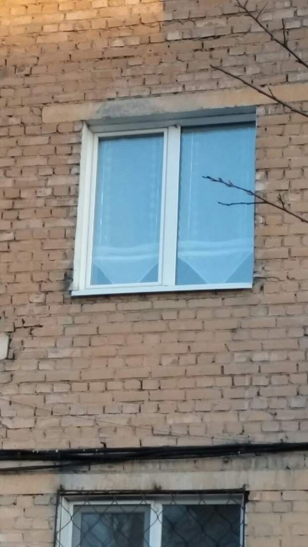 Многофункциональный гаджет, который есть у каждого Многофункциональный гаджет, который есть у каждого