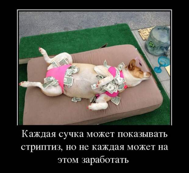 Dемки