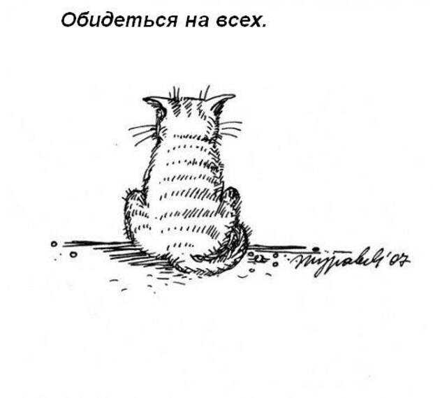 Обязанности кота по дому!