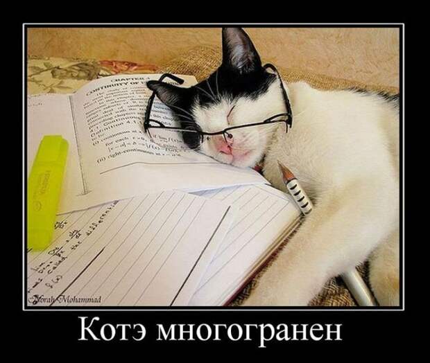 Демотиваторы (45 фото) Демотиваторы (45 фото)