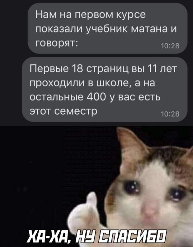 Смешные картинки вечер 24 декабря 2020