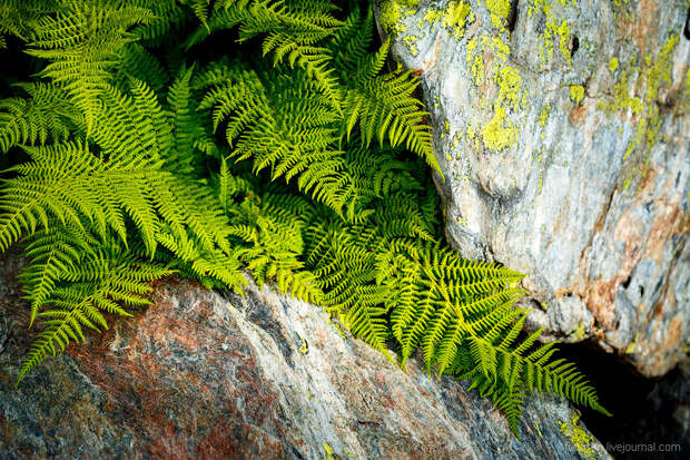 Озеро Семицветное на Кавказе Озеро Семицветное на Кавказе