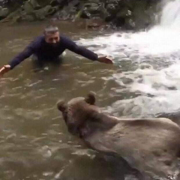 Прикольные картинки