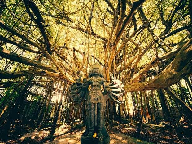 shiva-tree-temple_93176_990x742