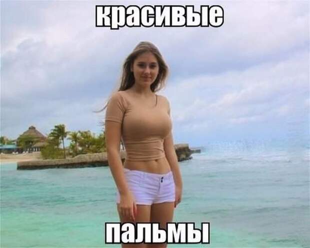ПОДБОРКА ФОТОПРИКОЛОВ № 216