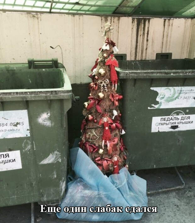 Прикольные картинки (98 фото)