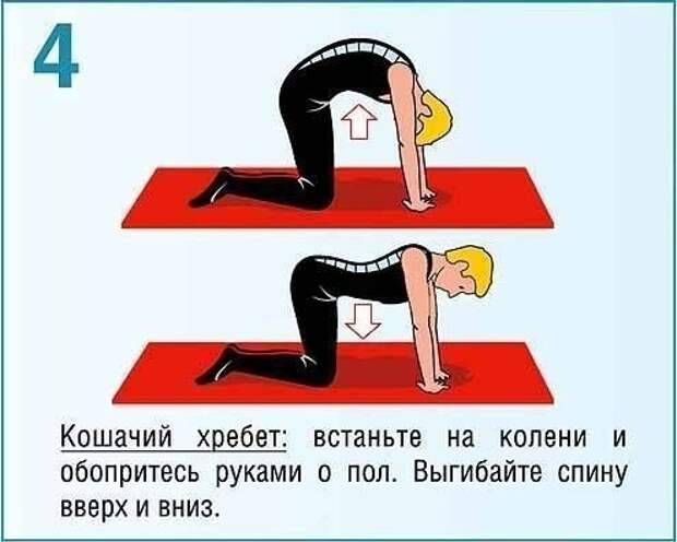 Укрепляющая тренировка для мышц спины и пресса факты