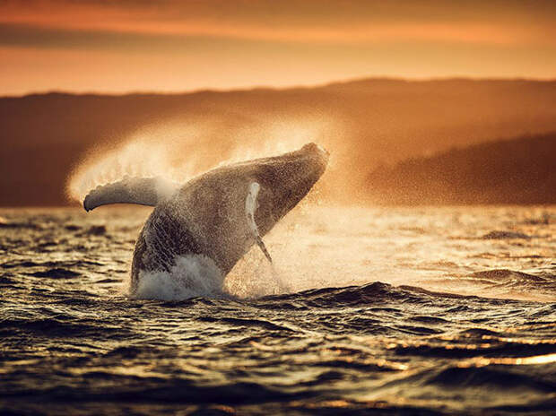 Лучшие фотографии июля 2015 от National Geographic