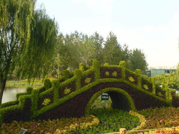 Китайский сад