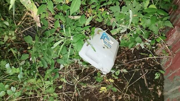 Подросток облил друга бензином и поджег / Фото: СУ СК по Алтайскому краю