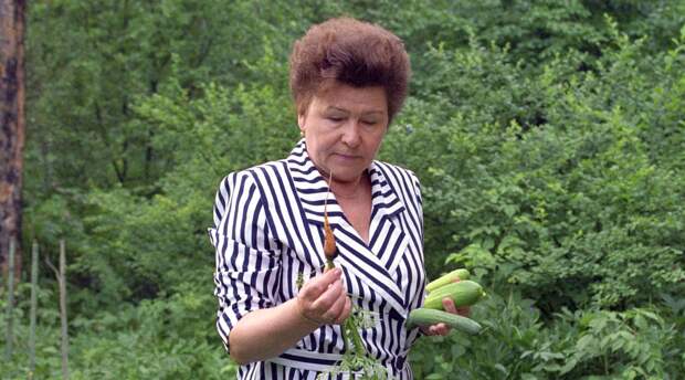 Пенсия в полмиллиона и цифровой надзор: цена сохранения символа эпохи?