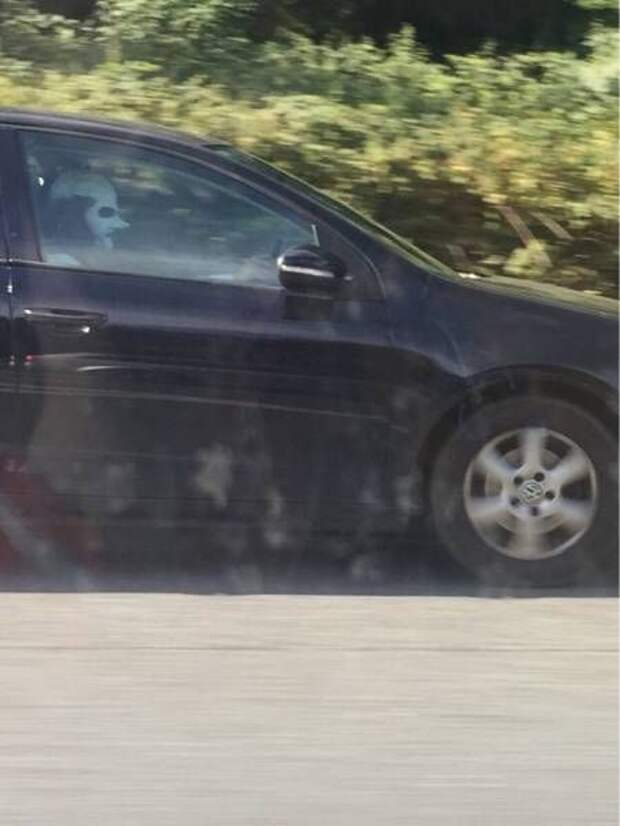 ПОДБОРКА ФОТОПРИКОЛОВ