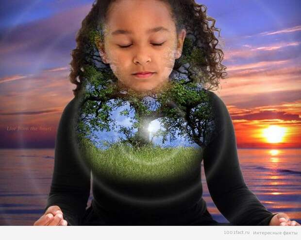 ребенок индиго_факты