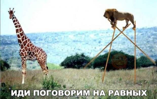 Картинки