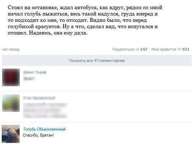 Переписка в социальных сетях